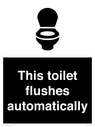 this-toilet-flushes-automatically~